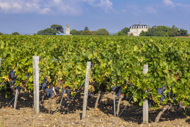 bordeaux