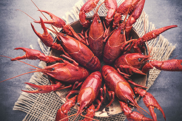 crayfish
