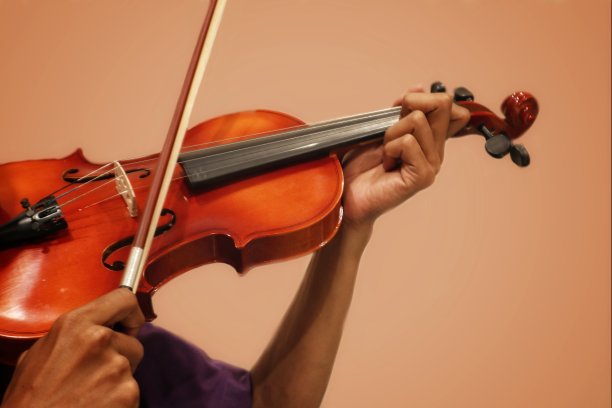 fiddle