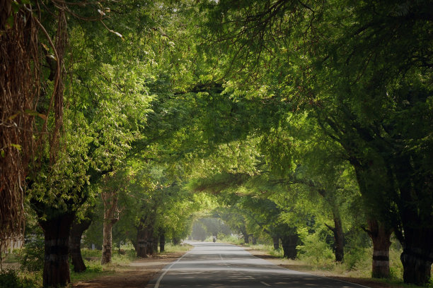 avenue