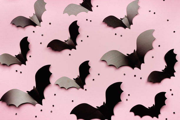 bat
