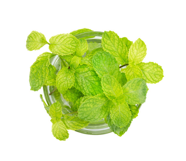 spearmint