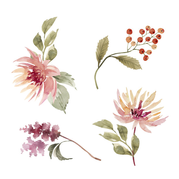 wildflowers