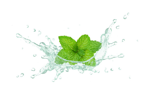 spearmint