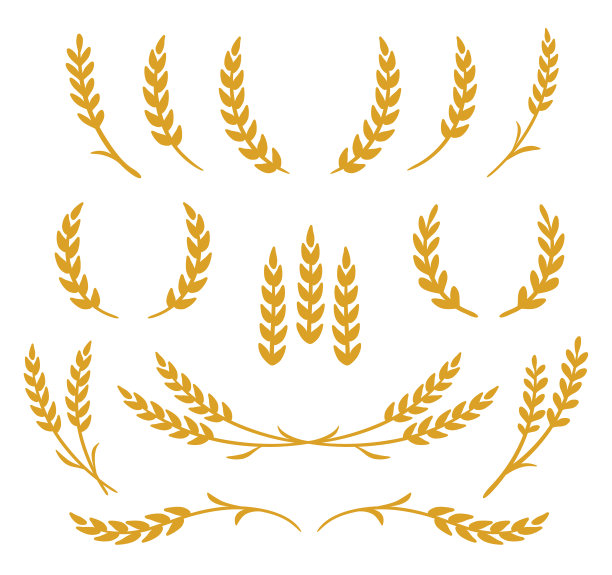triticum