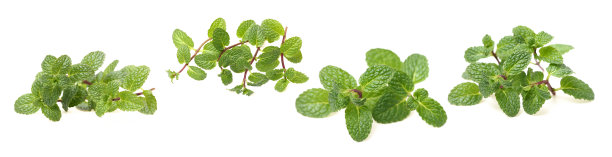 peppermint