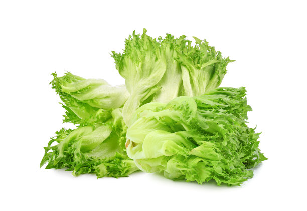 romaine