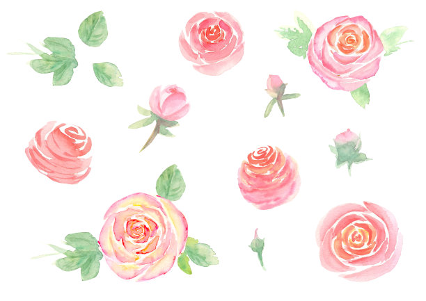 wildflowers