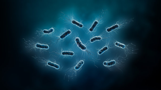 bacteria