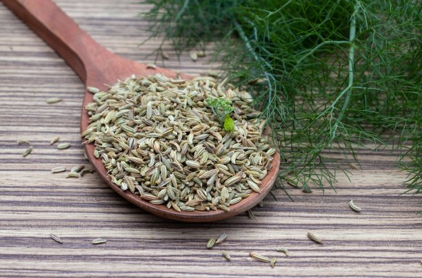 fennel