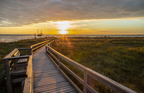 boardwalk
