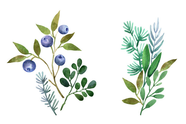 wildflowers