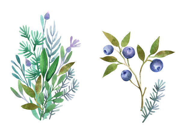 wildflowers