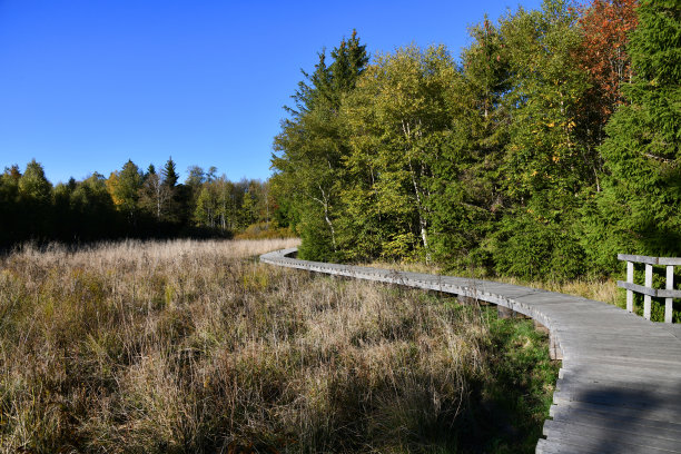 boardwalk