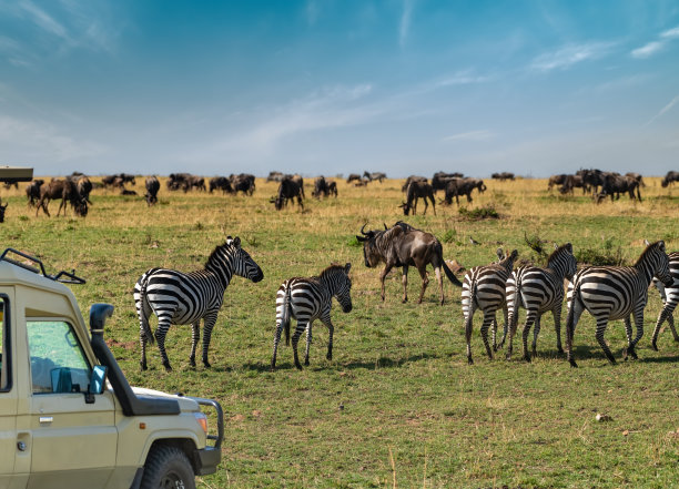 tanzania