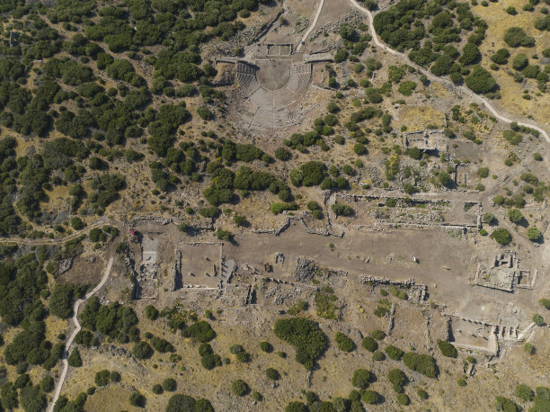 assos