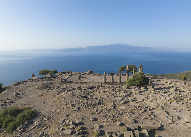 assos