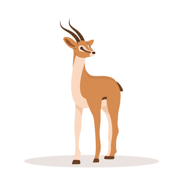 antelope