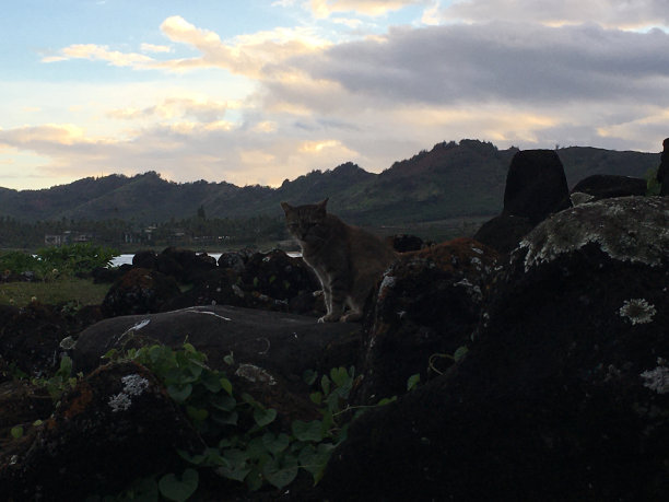kauai