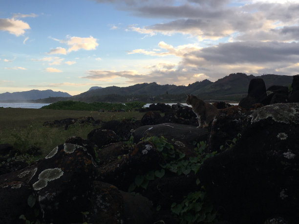 kauai