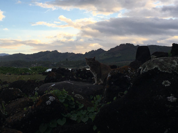 kauai