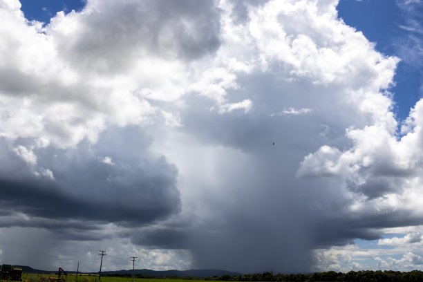 cumulus