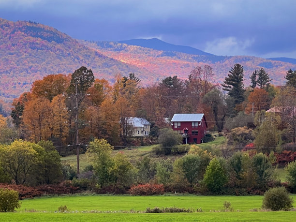 vt