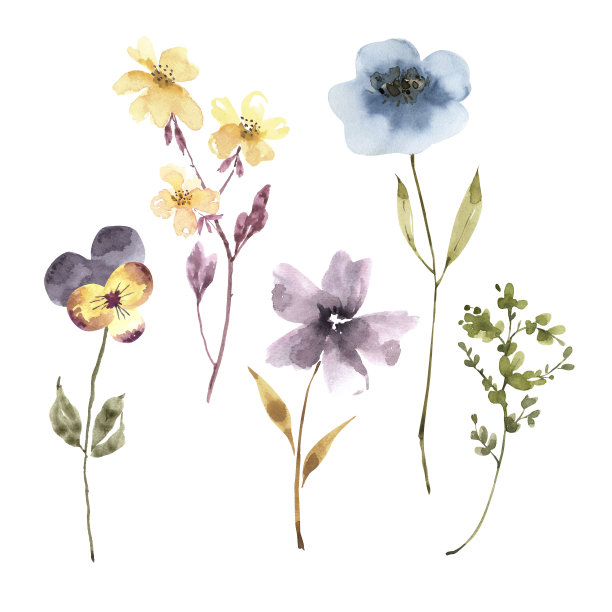 wildflowers