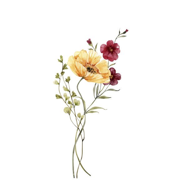 wildflowers