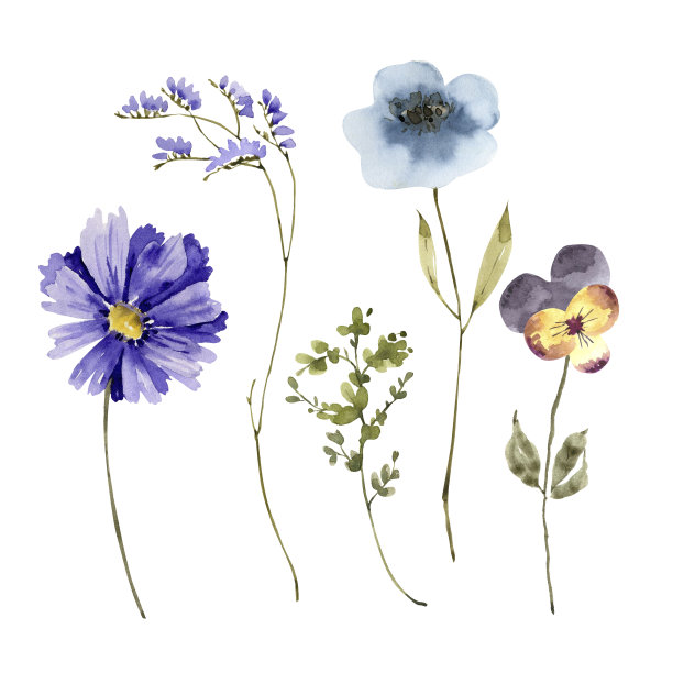 wildflowers