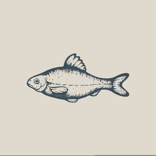 渔业,背景分离,食品