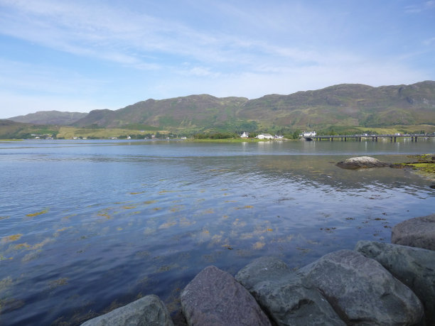 donan
