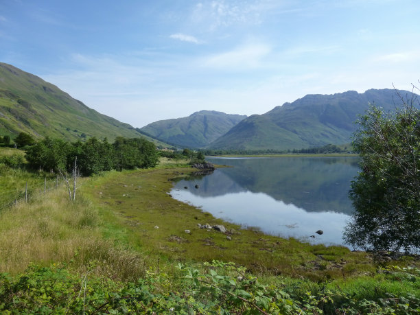 donan