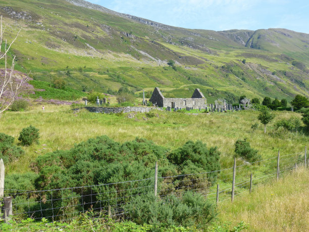 donan