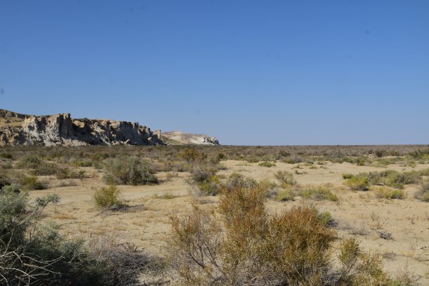 desolate