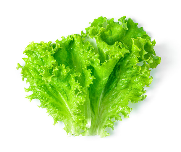 romaine
