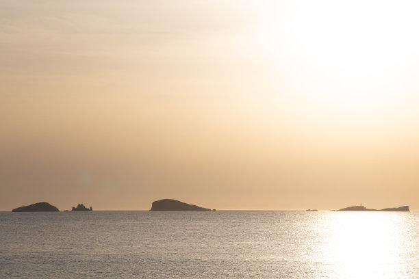 飞鸟蓝色大海壁纸