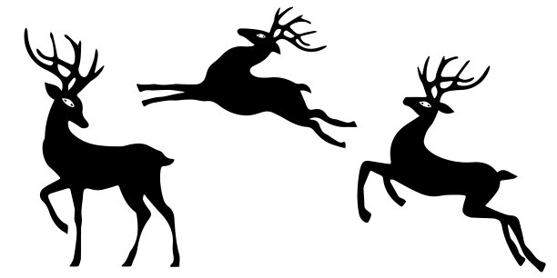 antelope
