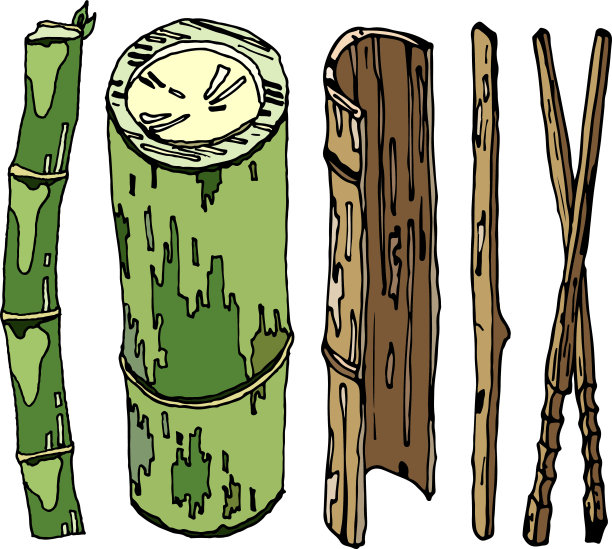 竹,竹林,植物学