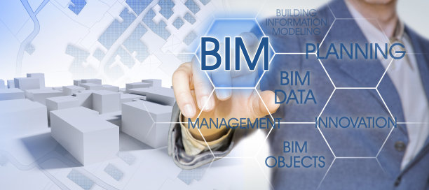 bim
