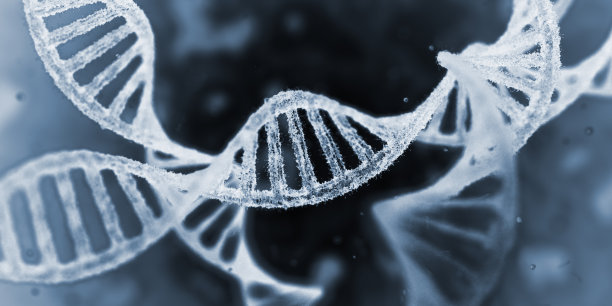 gene