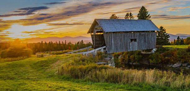 vt