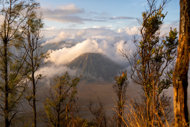 bromo
