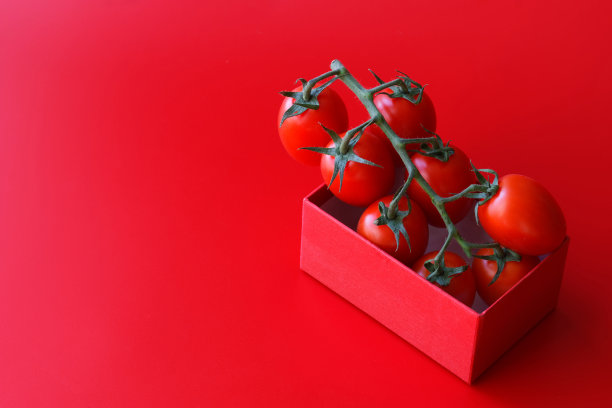 圣女果包装 番茄礼盒