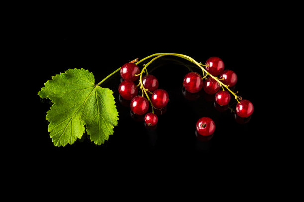 redcurrant