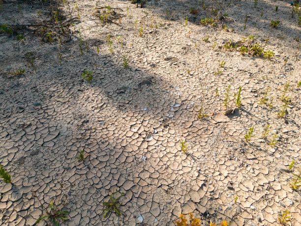 drought