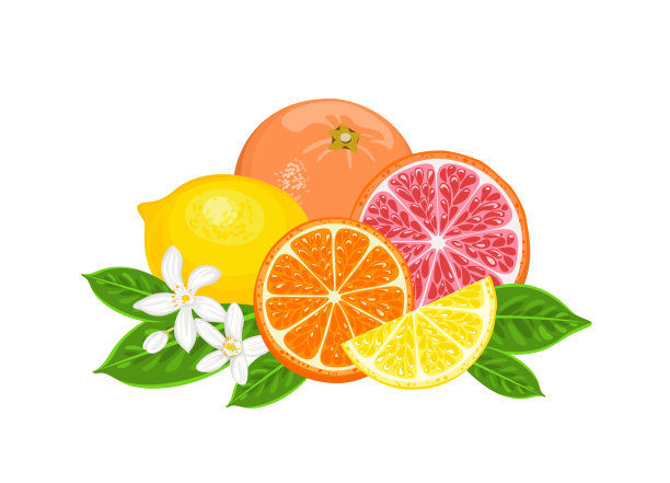 portion