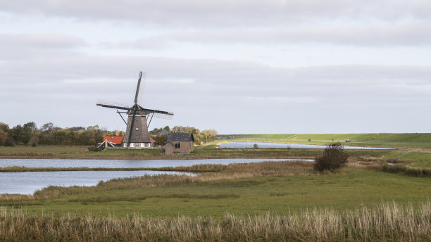 _texel