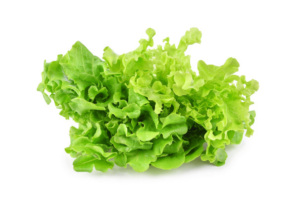 romaine