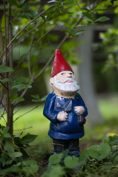 gnome
